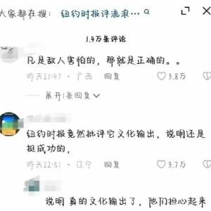 纽约时报差评《流浪地球2》中国网友坐不住了..